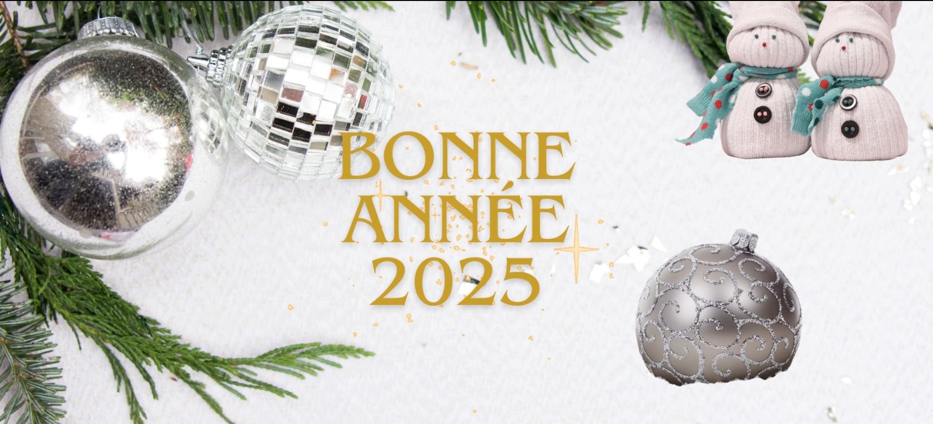 Bonne Année 2025.