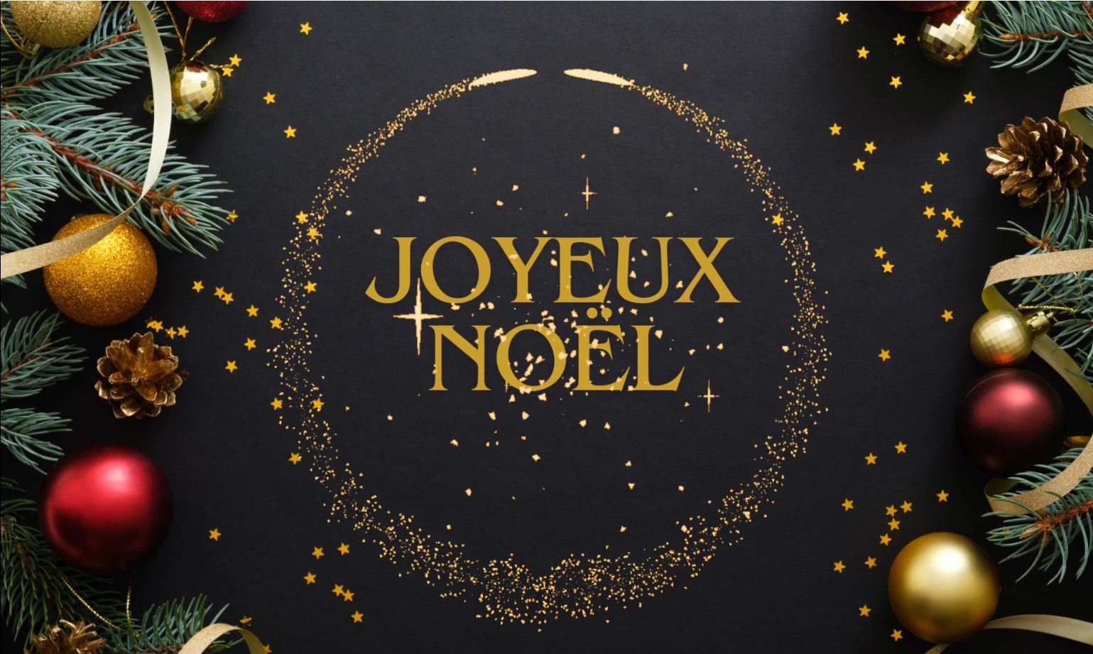 L'Aflec vous souhaite un joyeux Noël 2024.